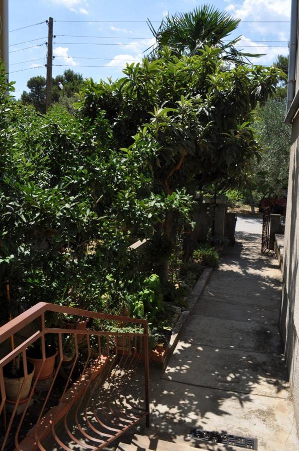 Apartman Kraljev Biograd na Moru Kültér fotó