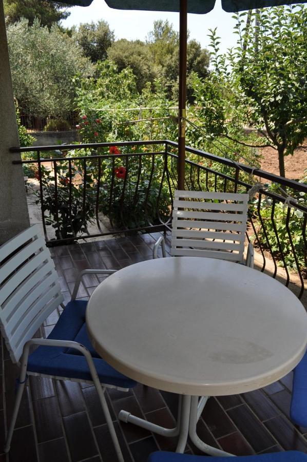 Apartman Kraljev Biograd na Moru Kültér fotó